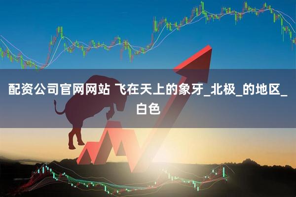 配资公司官网网站 飞在天上的象牙_北极_的地区_白色