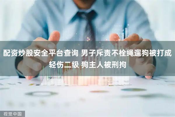配资炒股安全平台查询 男子斥责不栓绳遛狗被打成轻伤二级 狗主人被刑拘